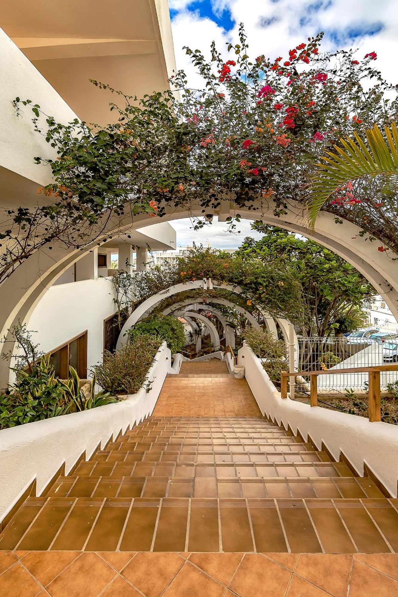 Ocean View Apartments In Park Royal I Costa Adeje Dış mekan fotoğraf